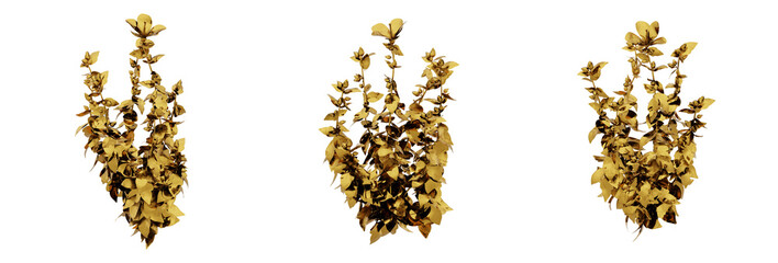 Design of a stylish and gorgeous golden plant. Ideal for adding a luxurious touch to your projects. PNG file with high transparency. 3d render.
