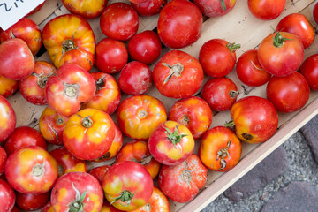 Red tomatoes in the market