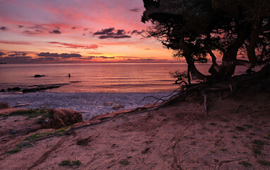 Sunrise with juniper in Cava Usai beach, Capo Carbonara, Villasimius, Sardinia