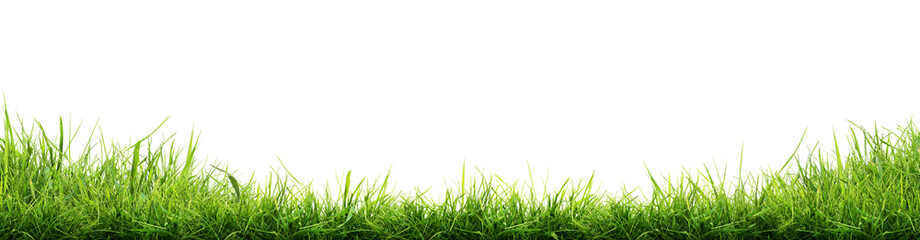 Fototapeta na wymiar Hi Resolution image of Fresh green grass isolated against a transparent background