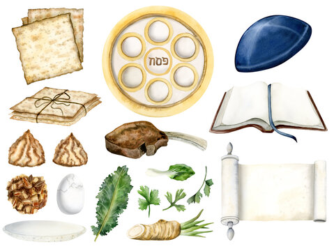 Passover elements set of watercolor illustrations. Jewish Pesach seder food. Haggadah scroll, Torah book, matzah