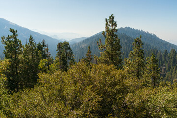Smoke from Forest Fire Fills at the Valley at Giant Sequoia National Monument