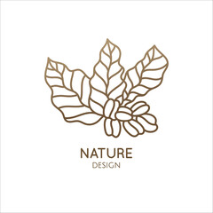 Coffee plant linear logo. Vector emblem coffee tree. Icon of coffee tree branch with grains. Abstract badge for design of natural products, coffee shop, for cafe, bar, shop, botany