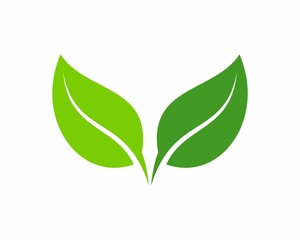 Simple and elegant twin green leaf