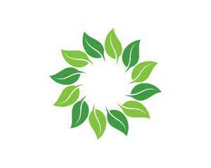 Fototapeta na wymiar Circular green leaf and eco green