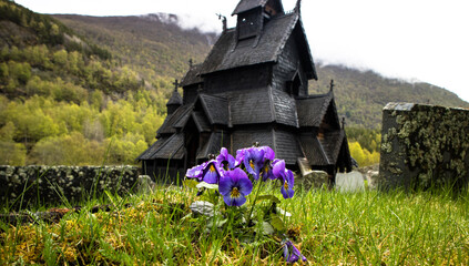 Stavkirke Borgund w Norwegii