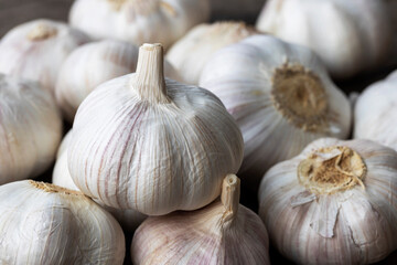 Closeup fresh garlic bulbs.