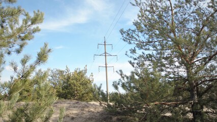 Electric pole in the forest