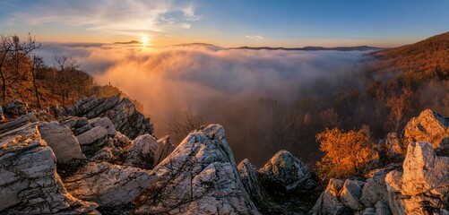 Mountains in low clouds at sunrise in autumn. View of mountain peaks, rocks and red trees in fog in fall. Beautiful landscape with foggy hills, forest, sunbeam. View from above of mountain valley © Ivan