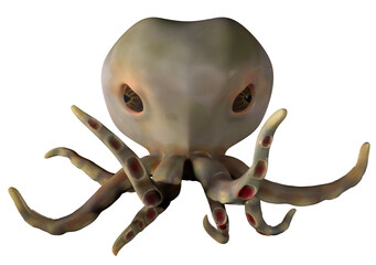 Octopus illustration