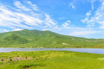 Fototapeta premium 知床 羅臼湖トレッキングコースを行く 