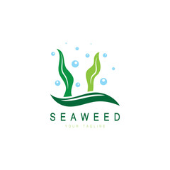 Fototapeta premium Seaweed vector logo icon illustration design.includes seafood,natural products,florist,ecology,wellness,spa.