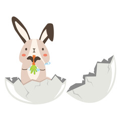 Cute rabbit in egg vector cartoon