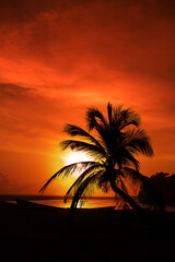 Silhouettes of palm tree and amazing cloudy sky on sunset at tropical sea with boats. Vertical 