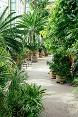 Plant and flower garden 