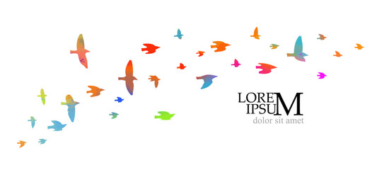 Abstract colored flying birds. Mixed media. Vector illustration