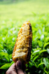people eating roasted corn