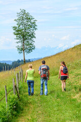 Fototapeta na wymiar Drei Wanderer genießen die Natur bei einer Tour in alpinem Gelände
