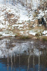 Forest, winter lindscape, tree