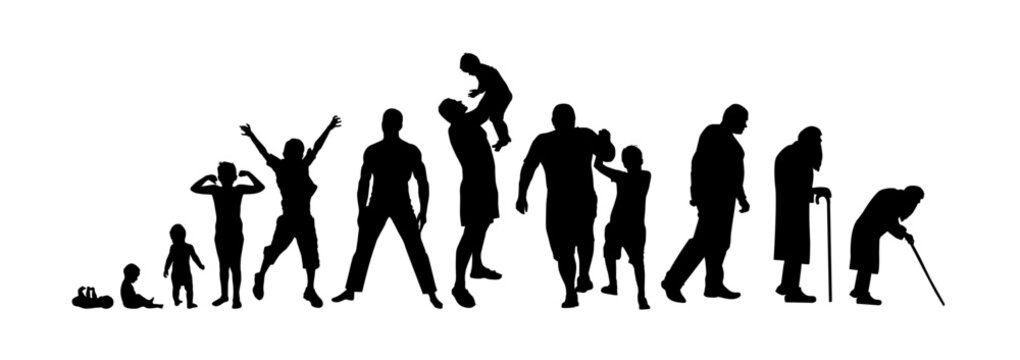 Silhouettes of a man. Stages of life. Vector illustration. People: stages of development
