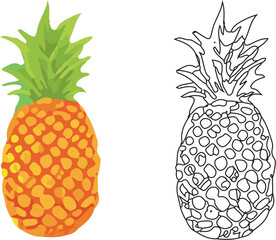 illustration of pineapple, lineal and solid drawing