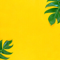 Fototapeta na wymiar The Tropical palm leaf on yellow background with empty space for your text or message.