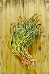 Bunch of saltwort agretti , salsola soda