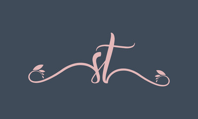 ST initial handwriting logo template vector illustration Background design.