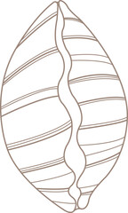 Seashell doodle illustration for decoration on marine life ,summer holiday and coastal concept.