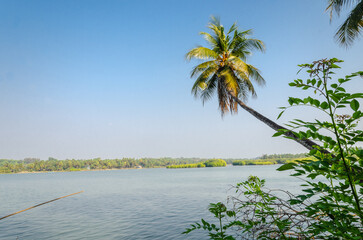 Backwaters of Kemmanu delta