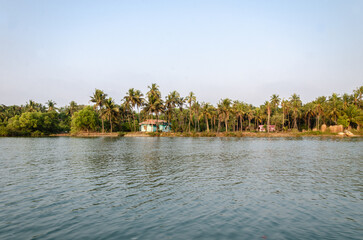 Backwaters of Kemmanu delta