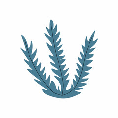 Hand drawn underwater seaweed elements isolated on white background. vector illustration.