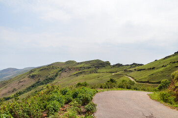 Fototapeta premium Mullayangiri range of mountains in Chikmagalur, India