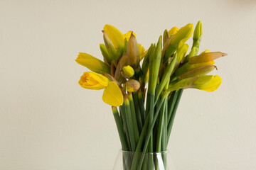 Bunch of daffodils in a glass vase