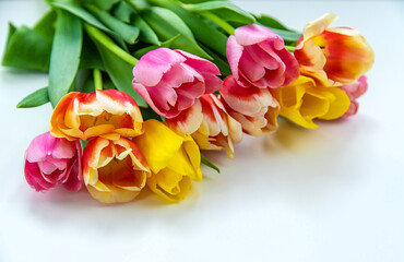 Obraz premium Flowers tulips on a white background. Selective focus.