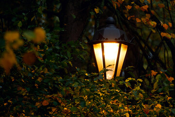 beautiful street lamp in the foliage in the evening
