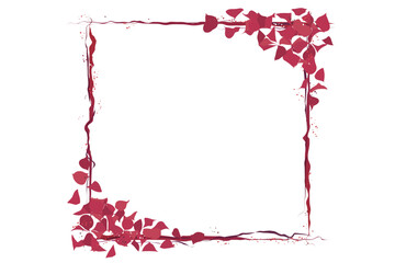 The frame was decorated by petals suit to be certification square photo frame and blessing card vector illustration graphic EPS 10