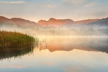 Fototapeta na wymiar Misty lake with mountain peaks reflecting in calm still water. Golden morning light giving warmth to the landscape. Elterwater, Lake District, UK.