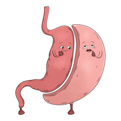 Schlauchmagen (Magen)