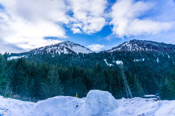 Fototapeta premium Mountain Snow And Trees 6