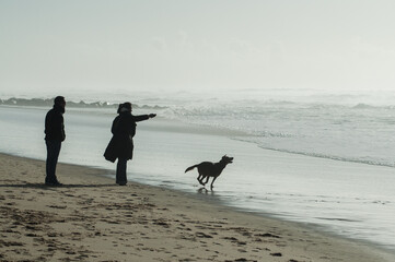 Chien et sa ma&icirc;tresse sur la plage &agrave; Arcachon en France