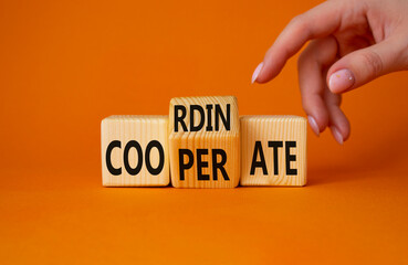 Cooperate and Coordinate symbol. Businessman hand points at turned wooden cubes with words Cooperate and Coordinate. Beautiful orange background. Business concept. Copy space