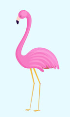 Pink flamingo isolated on white background. Vector flamingo