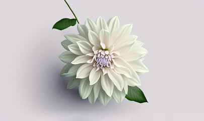  a large white flower with green leaves on a gray background with a white background and a white background with a white flower and green leaves.  generative ai