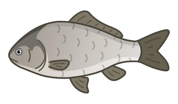 recommend clip art: フナ