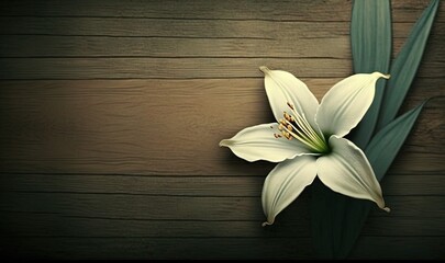  a white flower on a wooden background with a place for a text or image to be placed in the center of the picture or in the center of the picture.  generative ai