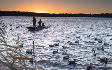 Early morning duck hunting on Reelfoot Lake, TN