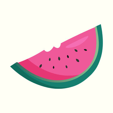 Pink watermellon, vector illustration on white background