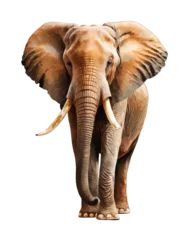 Foto op Canvas African Elephant Illustration With Transparent Background. Generative Ai. © Razvan