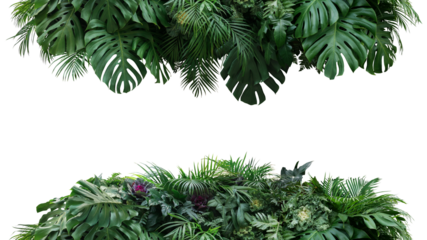 Green leaves nature frame border of tropical plants bush (Monstera, palm, philodendrons, fern and cabbage) lush foliage floral arrangement